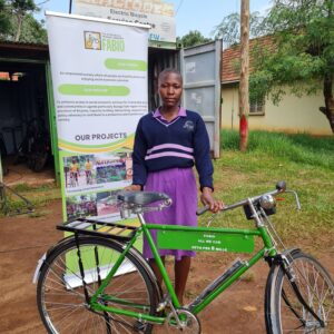 Bild6 success stories