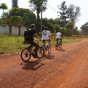 Bicycle Tour 14